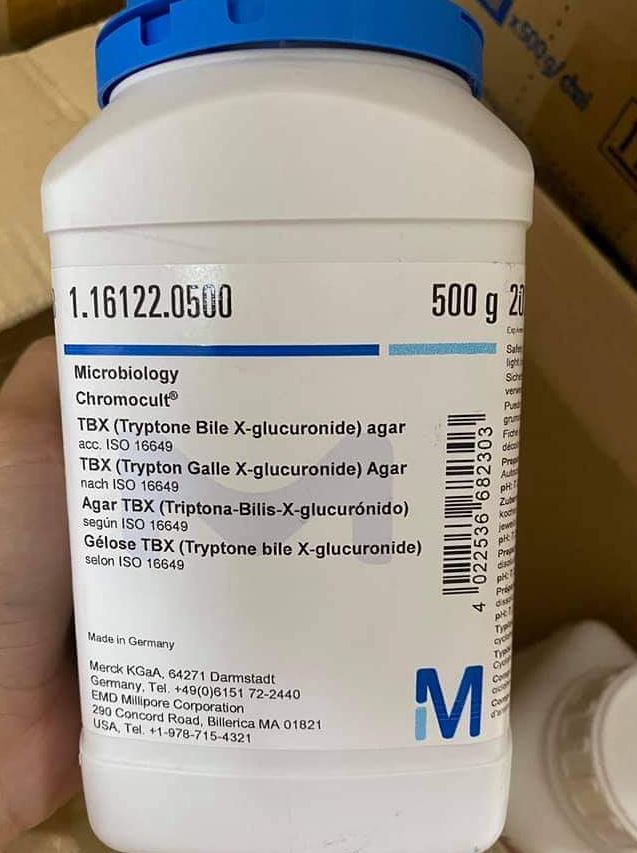 TBX (Tryptone Bile X-glucuronide) agar,